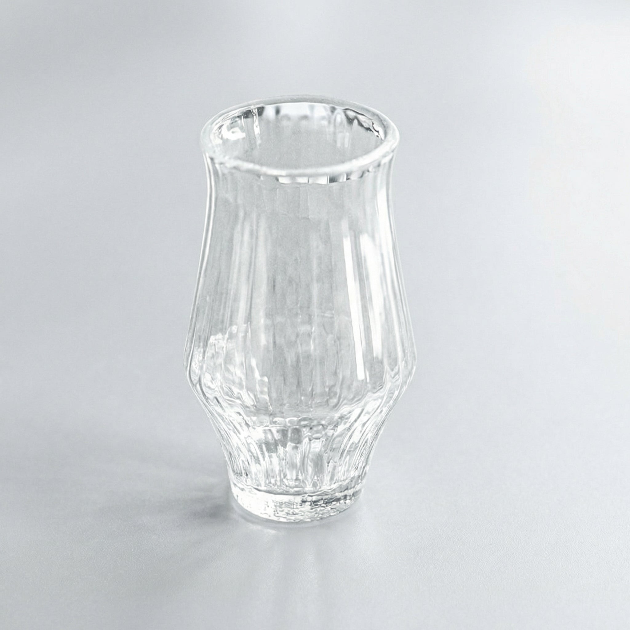 Nordic Style Clear Glass Tumbler